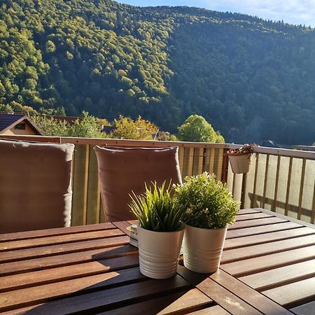 Miro Apartament Sinaia Dış mekan fotoğraf