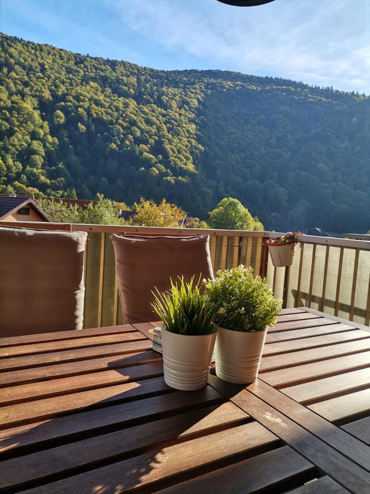 Miro Apartament Sinaia Dış mekan fotoğraf