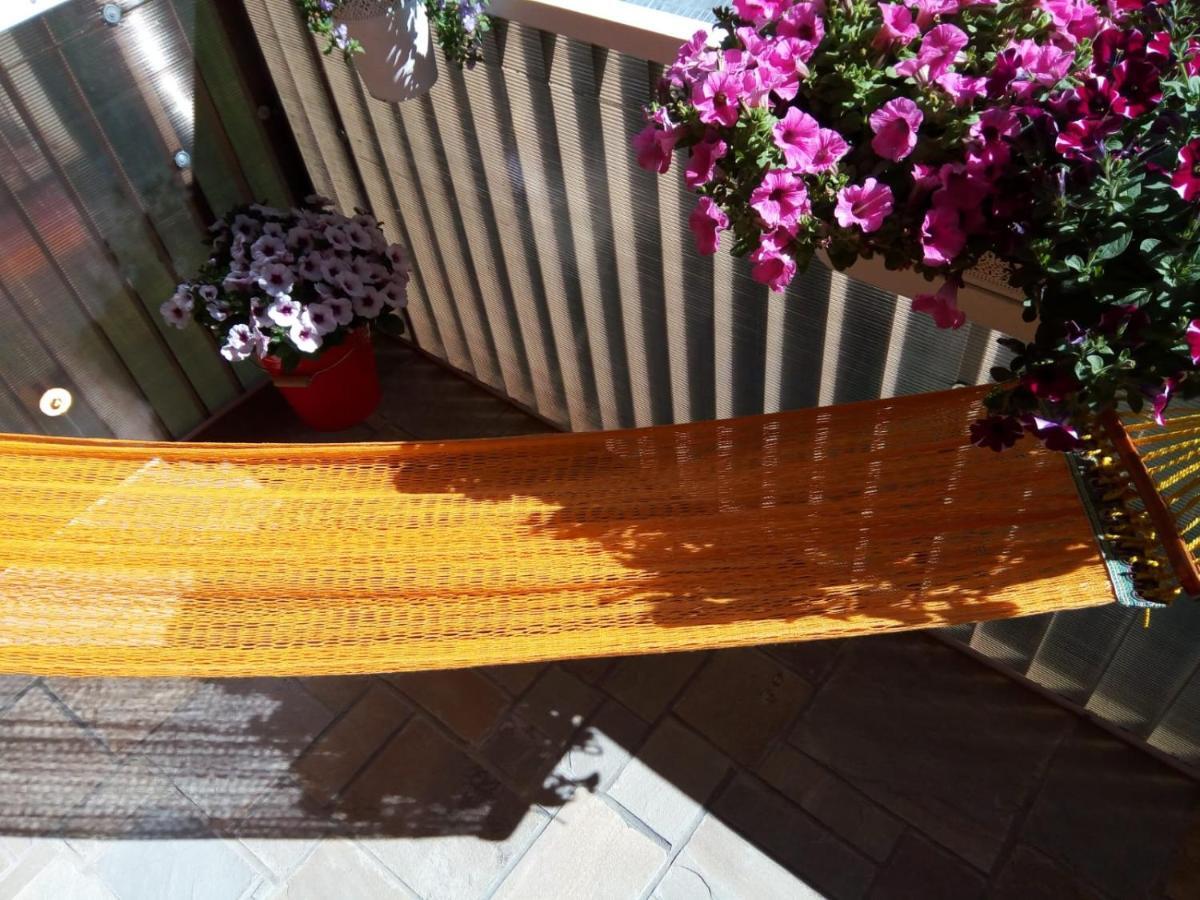 Miro Apartament Sinaia Dış mekan fotoğraf
