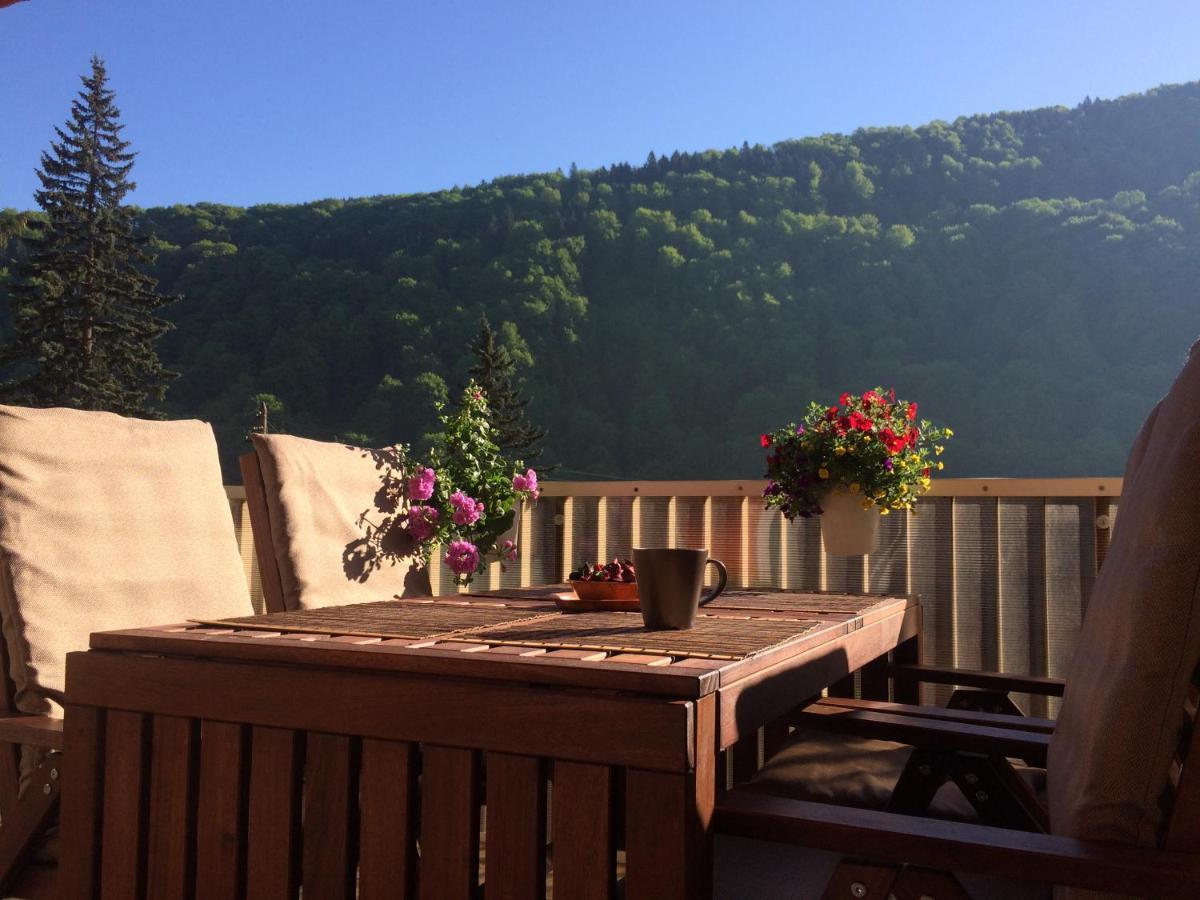 Miro Apartament Sinaia Dış mekan fotoğraf