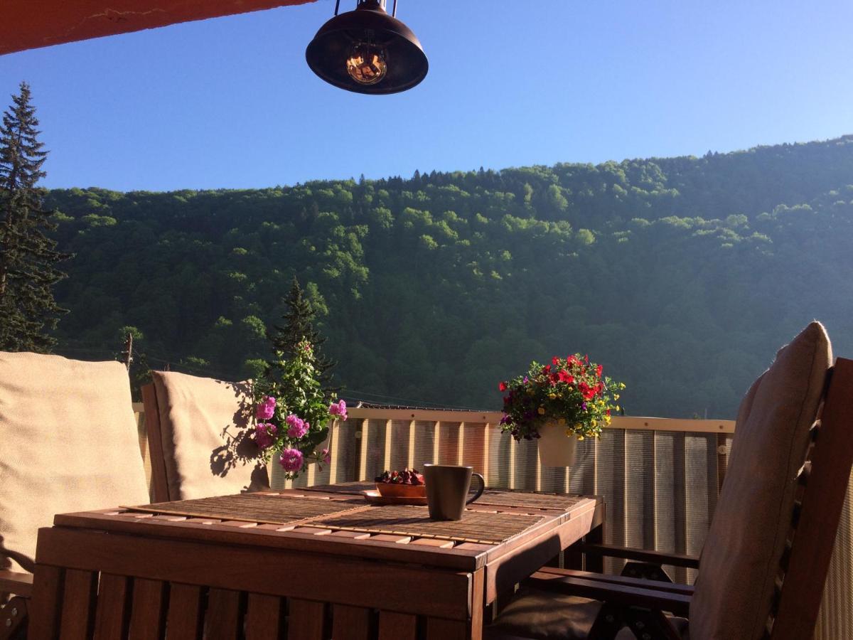 Miro Apartament Sinaia Dış mekan fotoğraf
