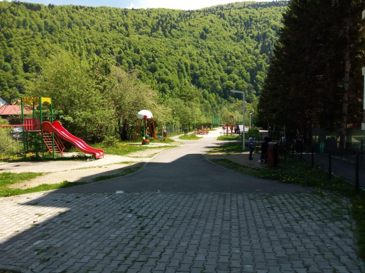 Miro Apartament Sinaia Dış mekan fotoğraf